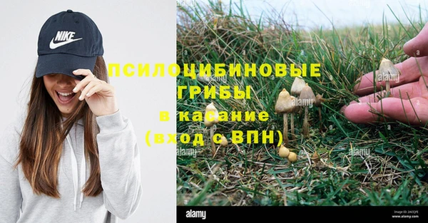 ПСИЛОЦИБИНОВЫЕ ГРИБЫ Абдулино
