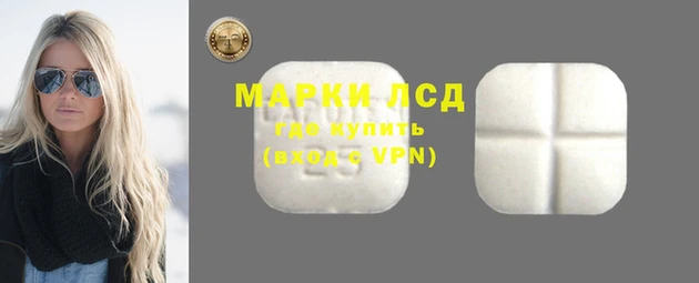 ПСИЛОЦИБИНОВЫЕ ГРИБЫ Абдулино