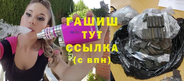 гашик Алексин