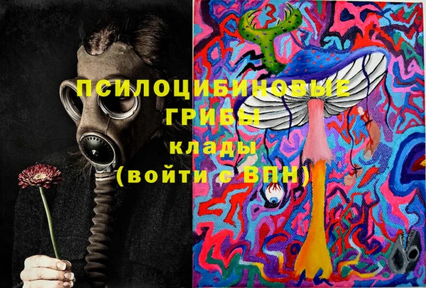гашик Абаза