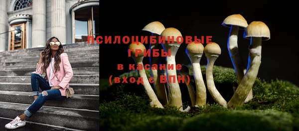 не бодяженный Алзамай